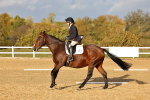 SBM_002822