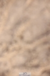 241117X-113121-04130