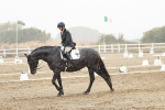 SBM_004017