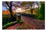 Bridge over the Buchan burn
