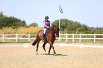 SBM_011988