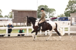 SBM_02937