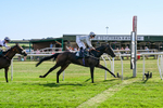 080726-Race 6-Velvet Rhythm-7804