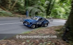 Hill Climb_07-09-2013_CAR-262