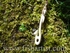 Fish Hook Bone Carving