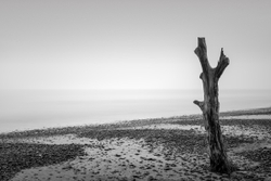 Bleak outlook