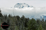 Frosted Fall_4655