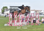 BPP_7350
