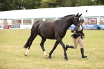 SBM_14612