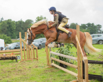 Dunblane show-601