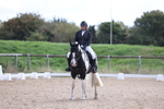 Class 4 - Novice 5 portfolio