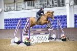 SBM_007678