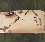 Bog Earth 16, 15cm x 15cm