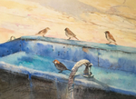 'Island Sparrows'