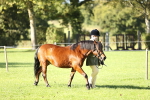 SBM_15844