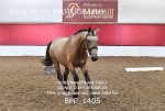 BPP_1405