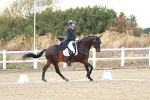 SBM_007334