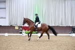 SBM_015491