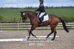 BPP_5501