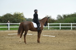 LAD_3684