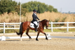 SBM_002271