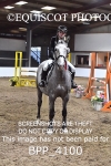 23RD MARCH 2025 - NST MARANZO STUD UNAFF SJ FINALS - MUIRMILL EC portfolio
