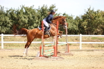 SBM_000207