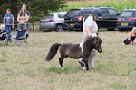 WJ6_5691