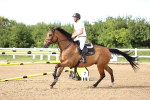 SBM_002933