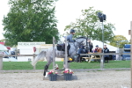 SBM_18186