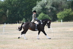 WJ7_7661