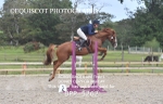 BPP_5262