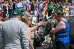 270626-Race 3-Naanas Shadow-4669