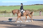 BPP_8067