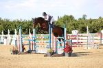 SBM_005431