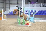 SBM_004317