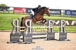 Cls 1 Snr Foxhunter portfolio