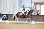 SBM_006929