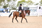 SBM_11697