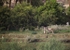 Egypt Street and River 6 1jpg