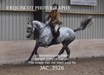 JAC_3526