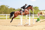 SBM_001565