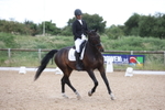 Class 5 - Novice 3 portfolio