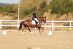 SBM_016803