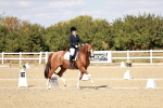SBM_019253