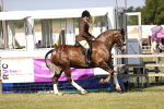 SBM_19631