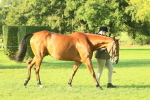 SBM_58526