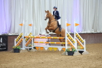 SBM_010348