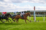 Race 6 portfolio