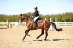 SBM_003284